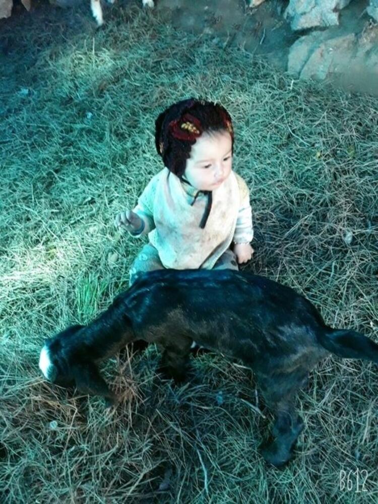 Müslümenin cinayetiyle ilgili son dakika gelişmesi Bakan resmen duyurdu, birçok detay ortaya çıktı, anne ve 4 kardeşi de...