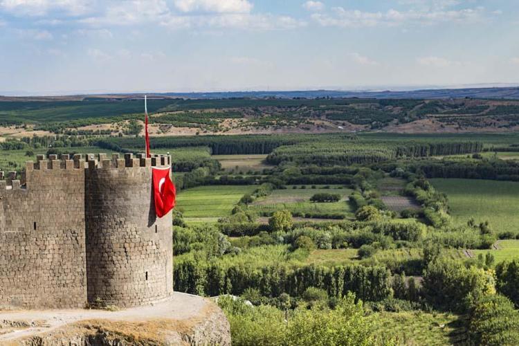 65- DİYARBAKIR