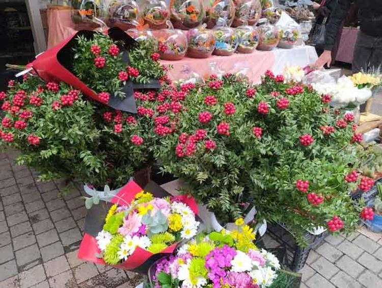 25 liradan satılıyor Ev sahibi olmak için akın ediyorlar