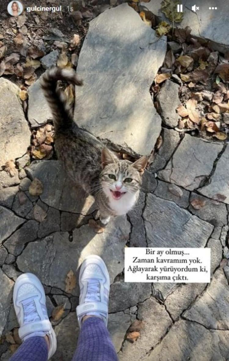 Gülçin Ergülden yeni paylaşım Seni çok sevmeyi sevdim