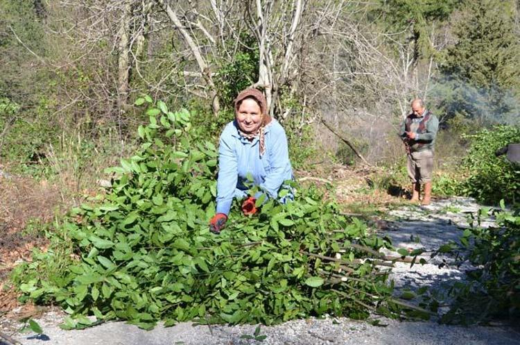 Paraya para demiyorlar Her yıl daha fazla verim elde ediliyor, 25 bin TL kazanç...
