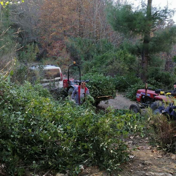Bu yıl 150 ton rekolte elde edildi