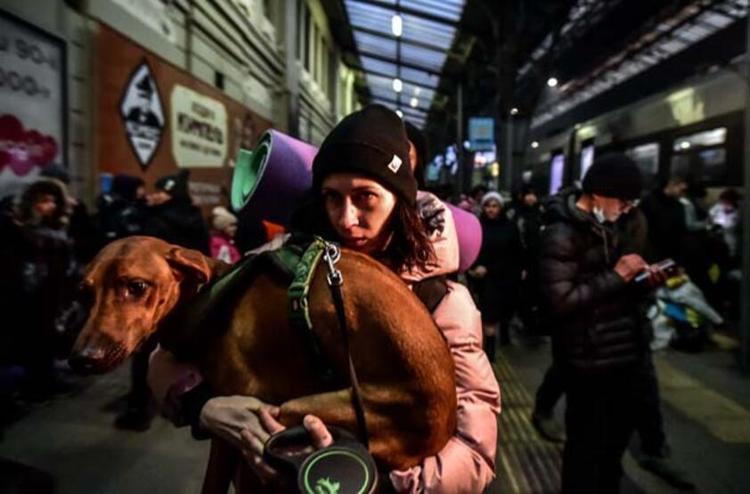 Ukraynalı sivillere Rus kapanı Lviv tren istasyonunda yürek sızlatan görüntüler