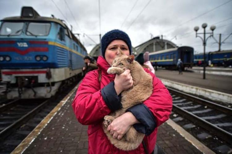 Ukraynalı sivillere Rus kapanı Lviv tren istasyonunda yürek sızlatan görüntüler