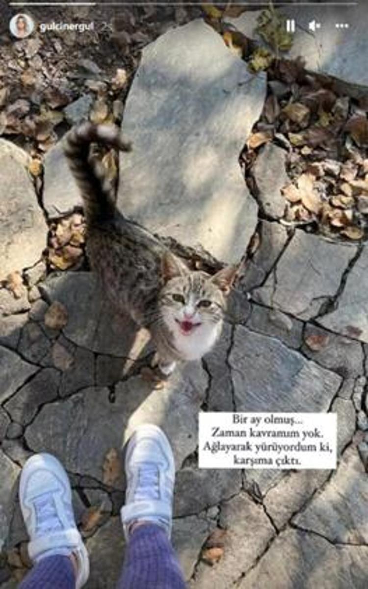 BİR AY OLMUŞ