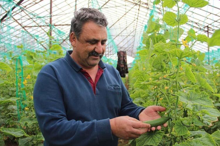 Yeni mahsullerle mayıs ayında fiyatlar iyice ucuzlayacak