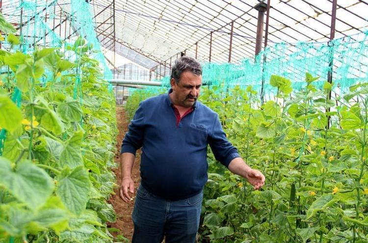 Yeni mahsullerle mayıs ayında fiyatlar iyice ucuzlayacak