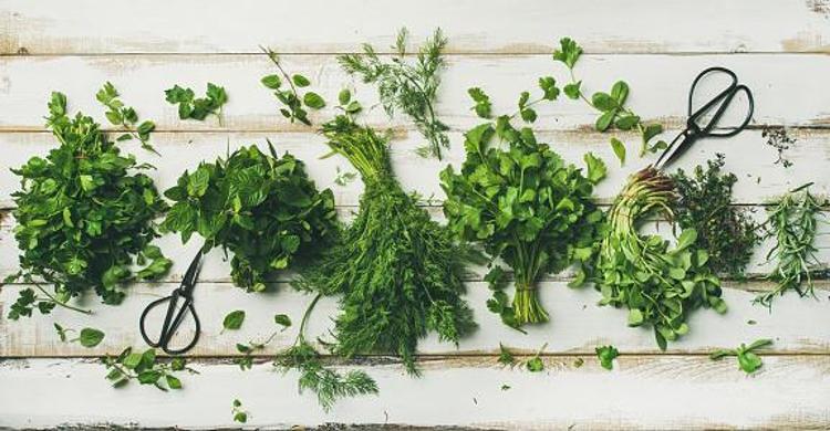 Tip 2 diyabet, kolon kanseri, yüksek tansiyon, alerji ve iltihaplı hastalıklar için şifa Günde sadece bir tutam yeterli, K, A ve C vitamini...