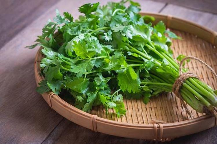 Tip 2 diyabet, kolon kanseri, yüksek tansiyon, alerji ve iltihaplı hastalıklar için şifa Günde sadece bir tutam yeterli, K, A ve C vitamini...