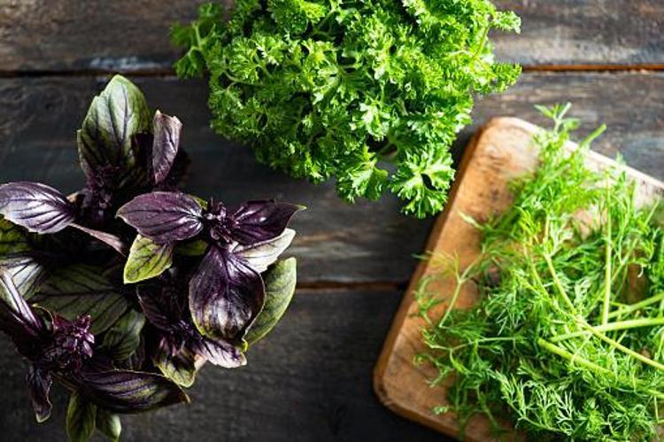 Tip 2 diyabet, kolon kanseri, yüksek tansiyon, alerji ve iltihaplı hastalıklar için şifa Günde sadece bir tutam yeterli, K, A ve C vitamini...