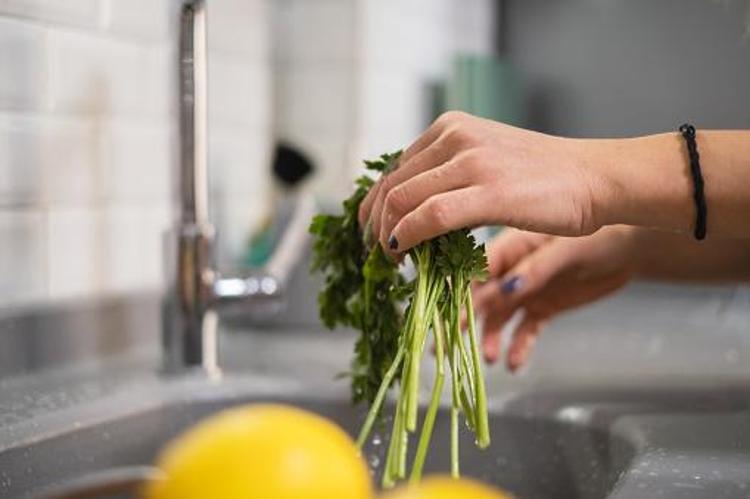 Tip 2 diyabet, kolon kanseri, yüksek tansiyon, alerji ve iltihaplı hastalıklar için şifa Günde sadece bir tutam yeterli, K, A ve C vitamini...