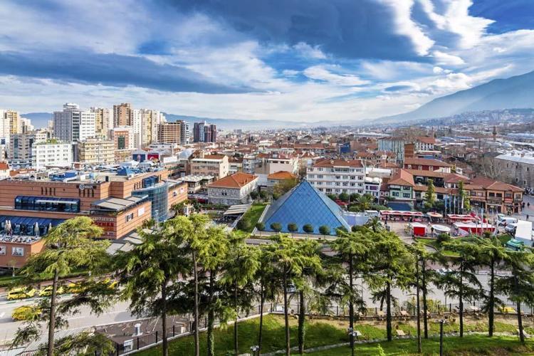 Bursa