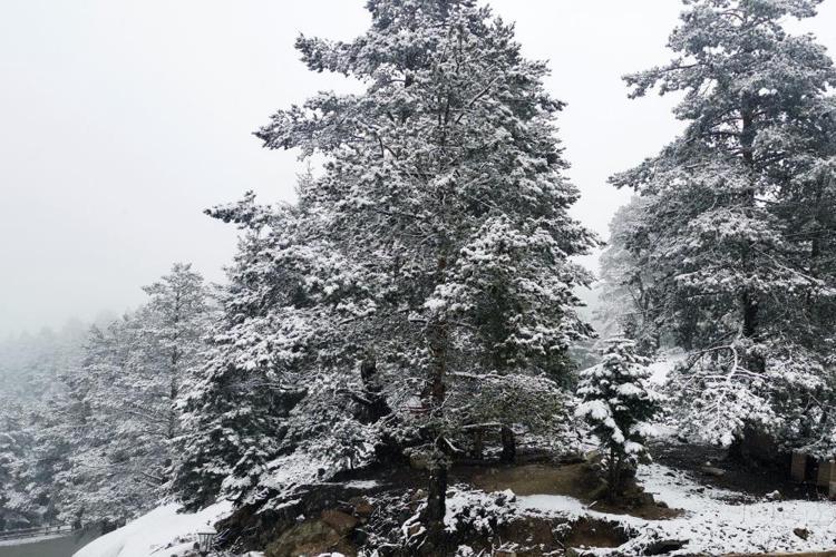 Yoğun kar yağışı yeniden başladı Yağışlar devam edecek, Meteoroloji son dakika duyurdu, çok sayıda il için sarı alarm verildi