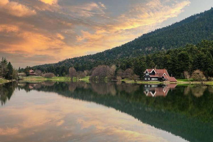 Bolu