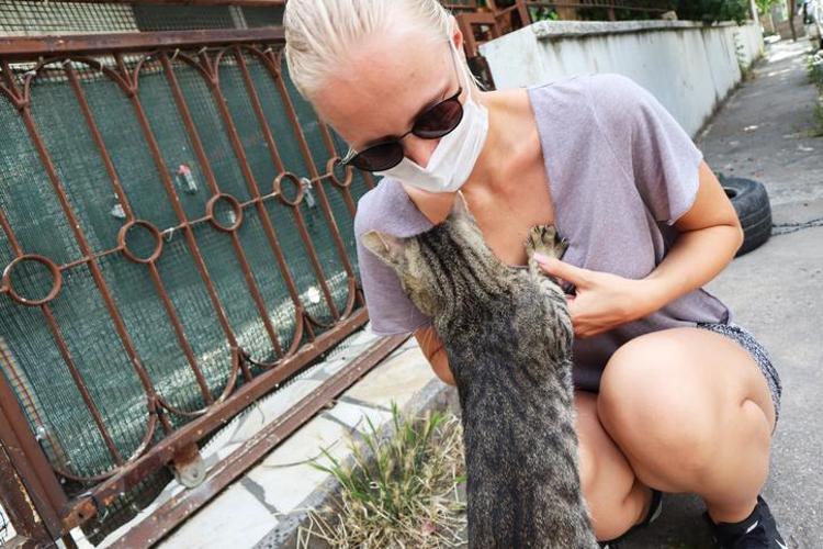 İnsanları çekici gösteren parazit Cinsel ilişki, kedi dışkısı, et ve sebze yoluyla bulaşıyor, dünya nüfusunun üçte birinde var...