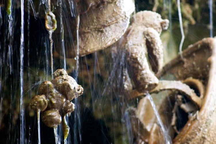 Petrifying Well, Yorkshire