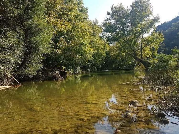 Dilburnu Tabiat Parkı / İSTANBUL
