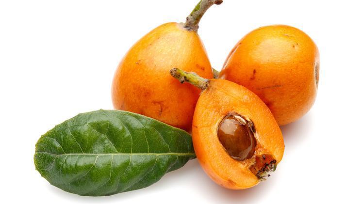MALTA ERİĞİNİN ÇEKİRDEĞİ ÇOK FAYDALI