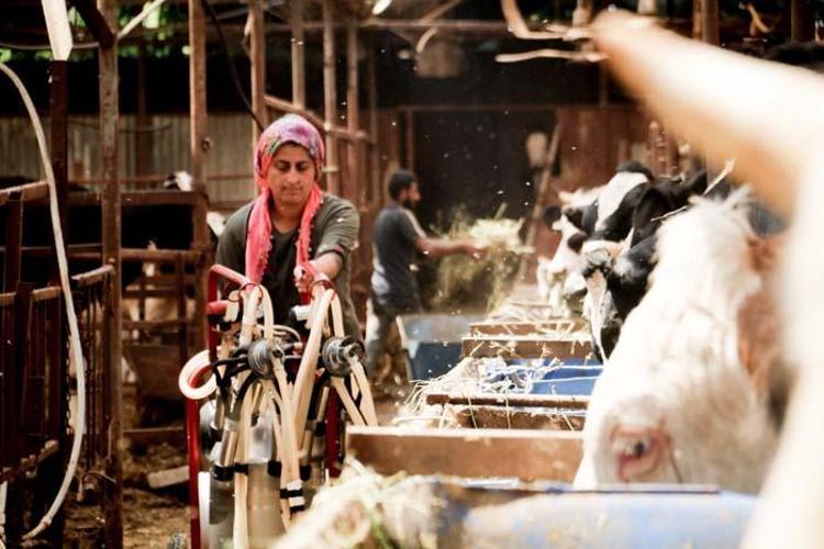 Paraya para demiyor Evde canı sıkılınca başladı, eşi bile gülüp geçti ama şimdi servet sahibi...
