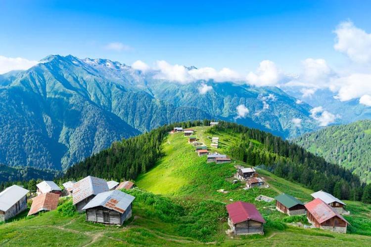 Rize