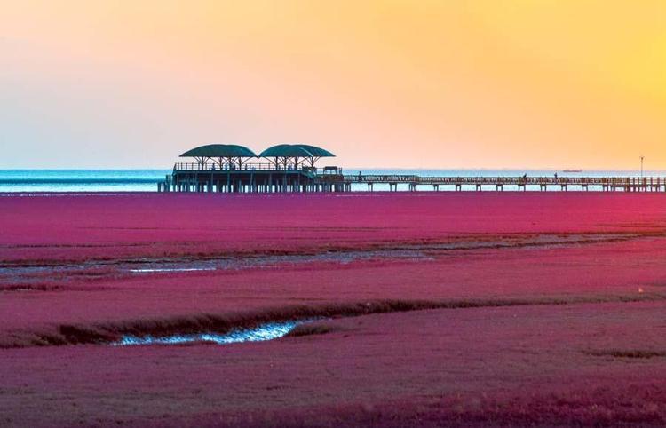 Red Beach - Çin