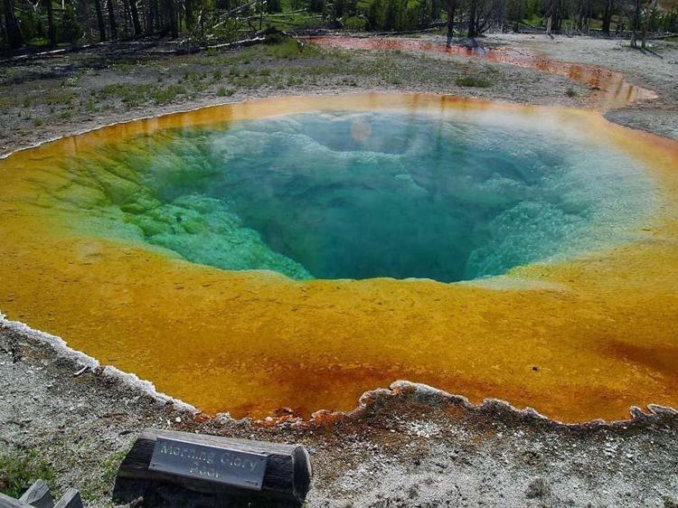 Yellowstone Milli Parkı