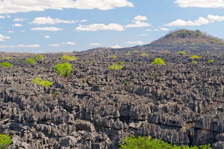 Ankarana National Park, Madagaskar