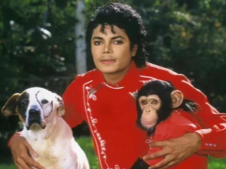 MICHAEL JACKSON