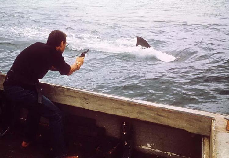 VE JAWS…