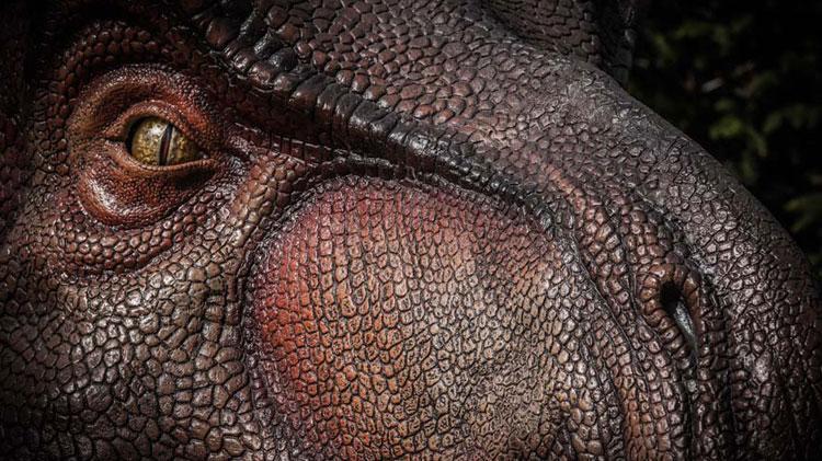 Dinozorlar döneminden kalan 10 hayvan İnsanların korkulu rüyası: Halen aramızdalar kökenleri tarih öncesine kadar uzanıyor...