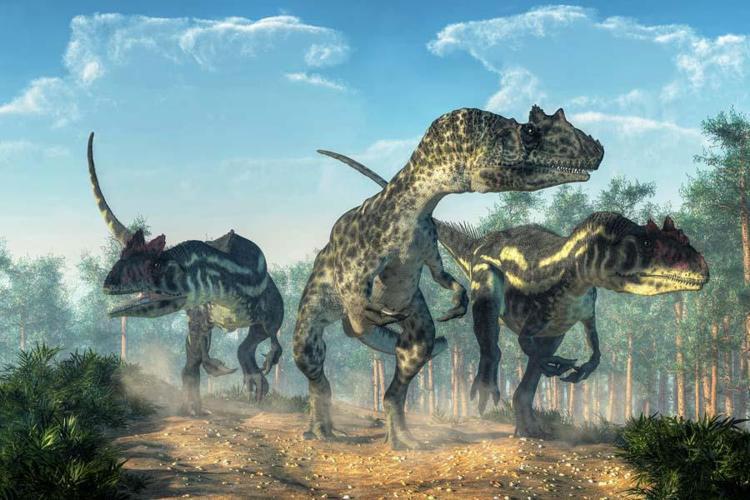 4- Allosaurus