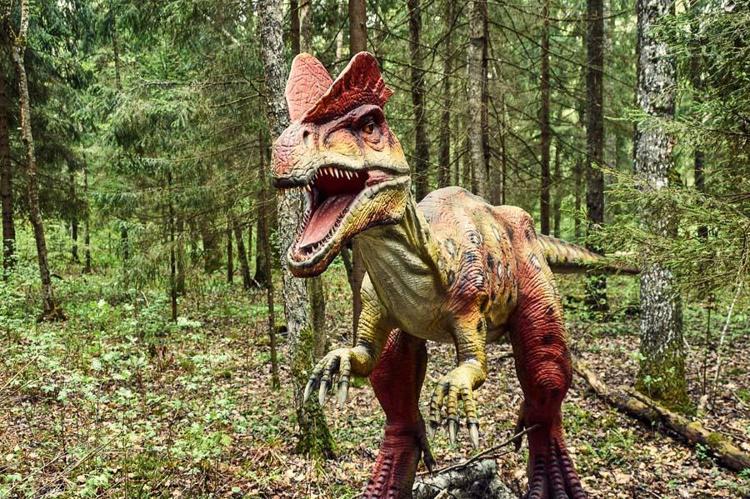 7- Dilophosaurus