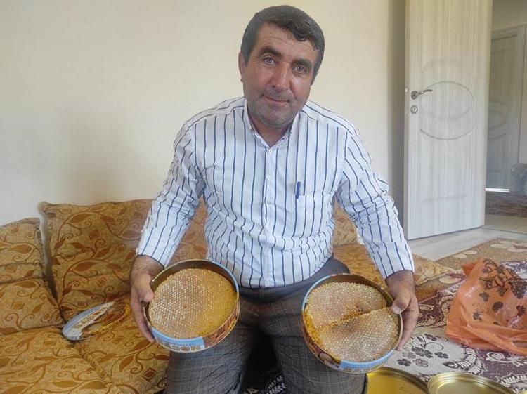 Paraya para demiyor Ağaç kovuğundan çıkarıyor, kilosu 1500 lira