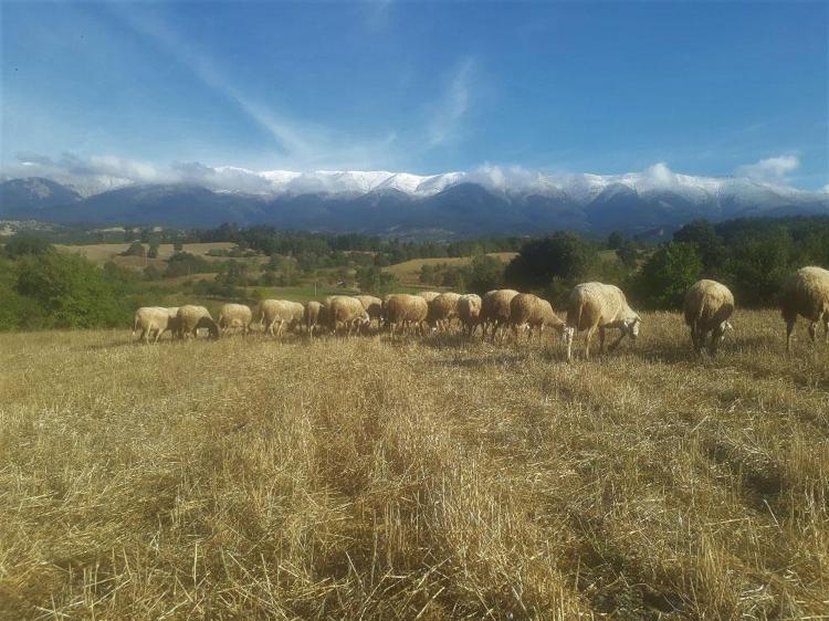 Kar başladı son dakika uyarısı geldi Meteoroloji illeri tek tek açıkladı: Çok kuvvetli olacak