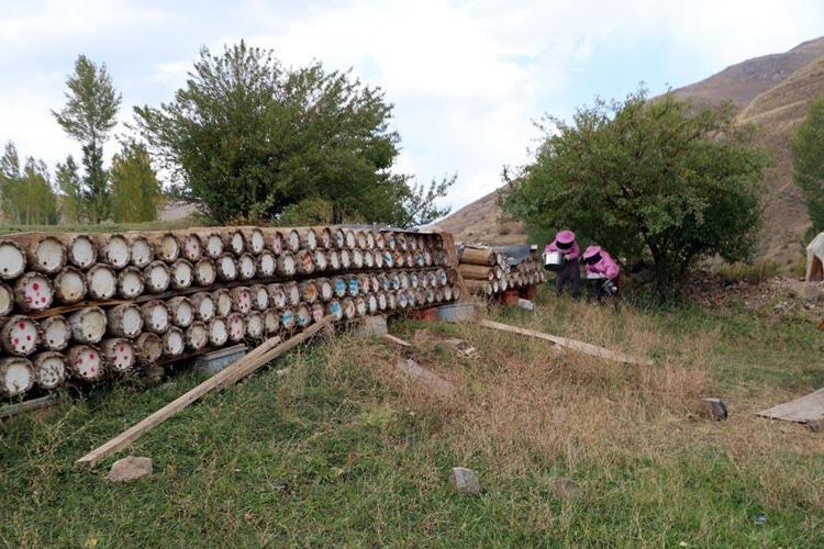 Girişimci kadınlara devletten destek ‘Dünyanın en iyisini üretiyoruz’