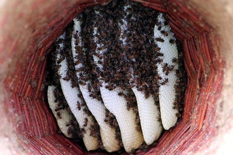 Girişimci kadınlara devletten destek ‘Dünyanın en iyisini üretiyoruz’