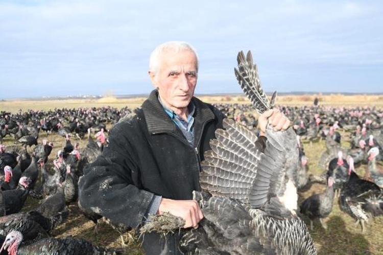 Yılbaşı hindisinin kilosu 100 lira