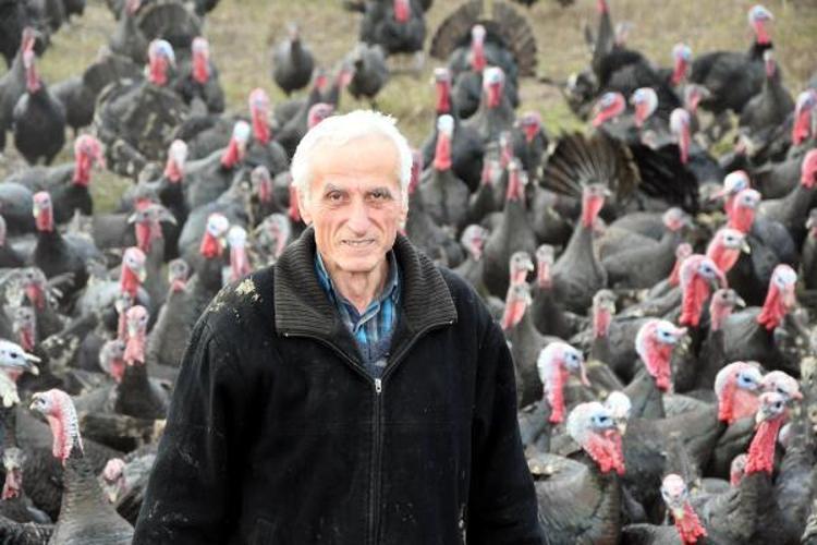 Yılbaşı hindisinin kilosu 100 lira