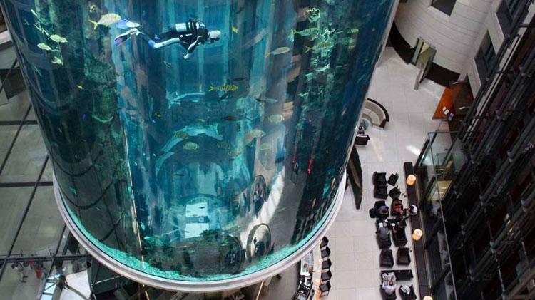 Berlinde bin 500 balığın bulunduğu dev akvaryum patladı: 2 yaralı