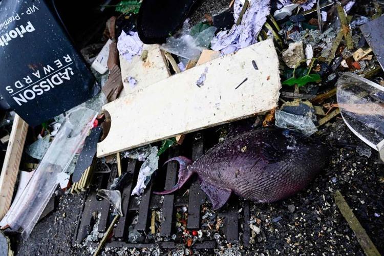 Berlinde bin 500 balığın bulunduğu dev akvaryum patladı: 2 yaralı