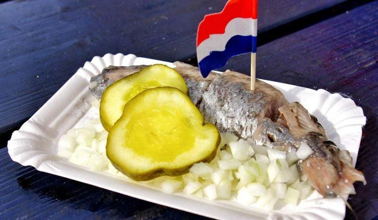 32 - HOLLANDA