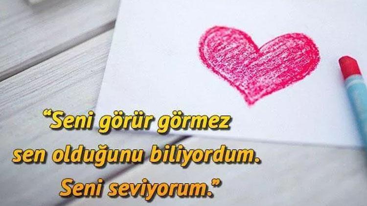 14 Şubat Sevgililer Günü mesajları, sözleri Instagram, Twitter, WhatsApp, Facebook için 14 Şubat Sevgililer Günü mesajları ile kadına erkeğe romantik sevgililer günü mesajları
