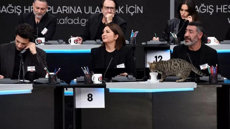 Cumhurbaşkanı Erdoğan canlı yayına telefonla bağlandı