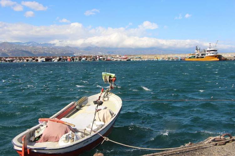 Hamsi eli ayağını çekti