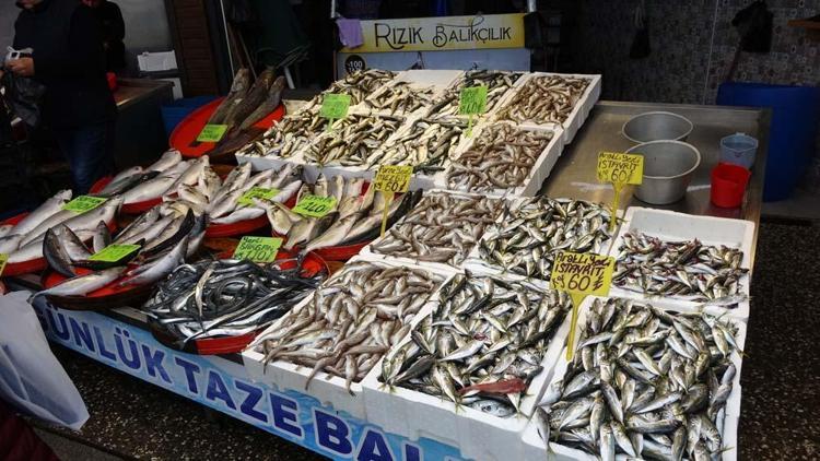 Hamsi sezonu kapattı, vatandaş istavrit ve mezgite yöneldi