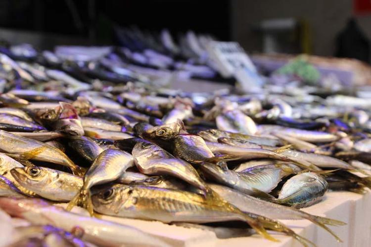 Hamsi sezonu kapattı, vatandaş istavrit ve mezgite yöneldi