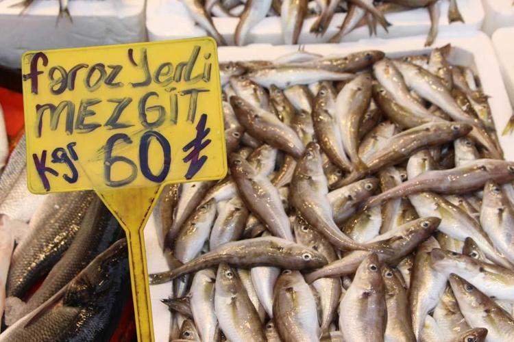 Hamsi sezonu kapattı, vatandaş istavrit ve mezgite yöneldi