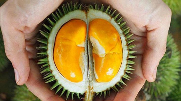 Durian meyvesi nedir