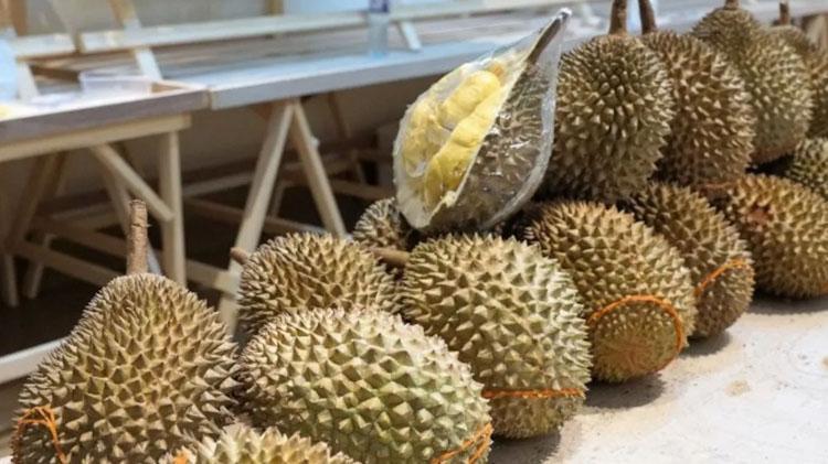 Durian meyvesi nerede yetişir