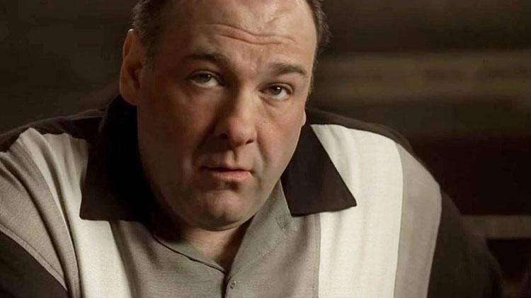 The Sopranos dizinin konusu ne